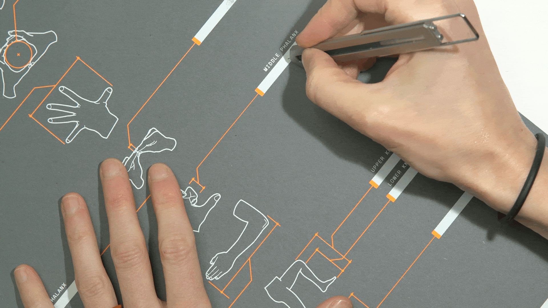 Personal Body Unit Index