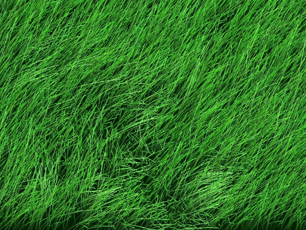 Grass