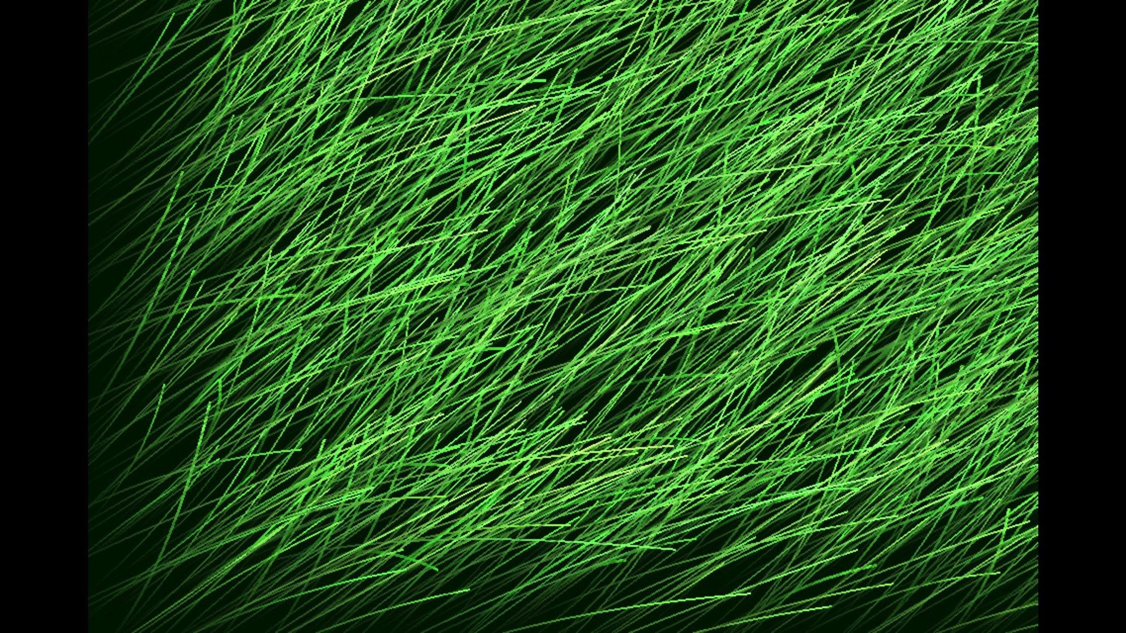 Grass