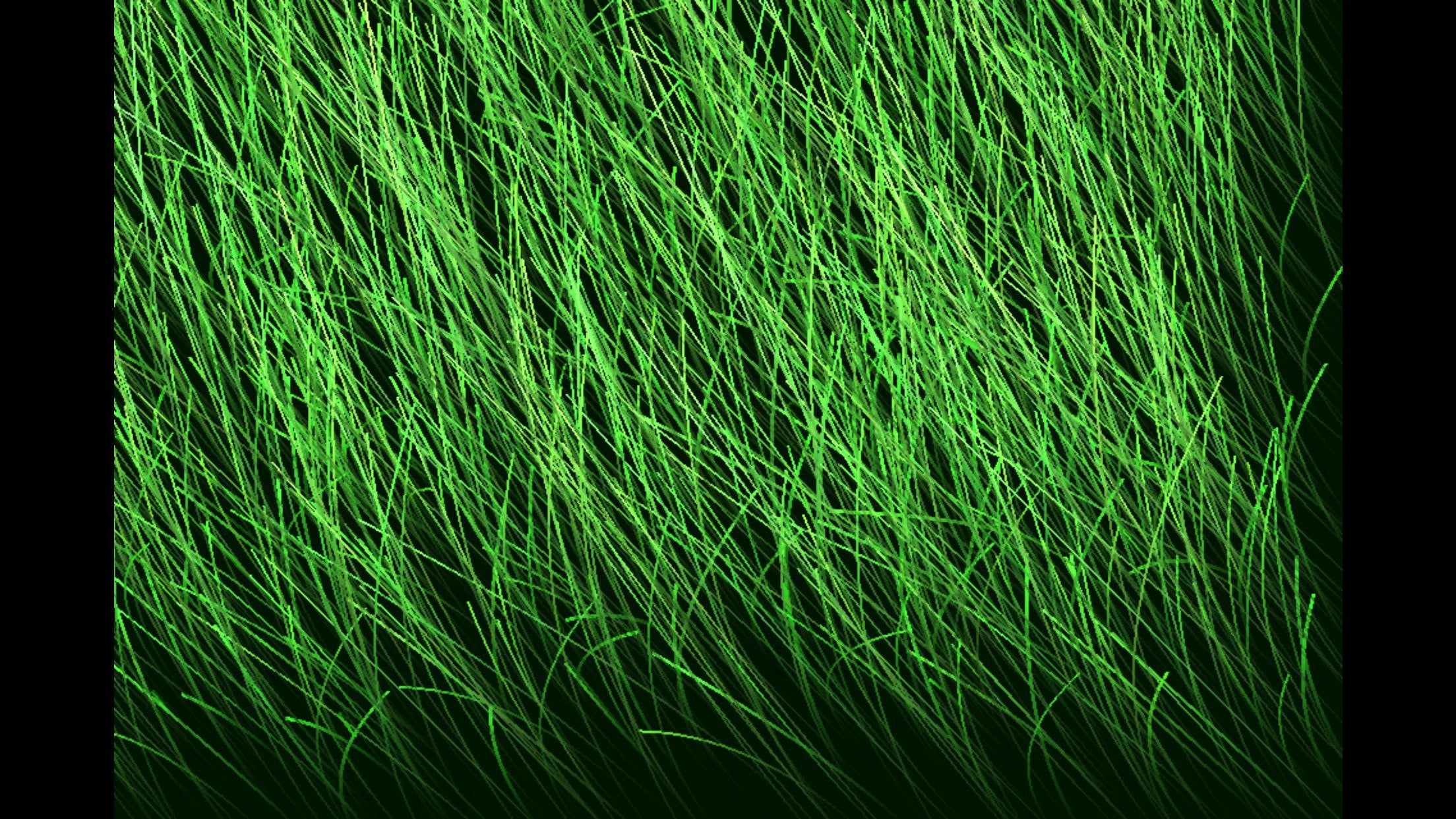 Grass