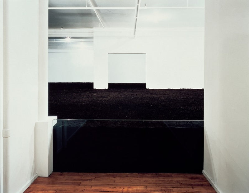 Earth Room