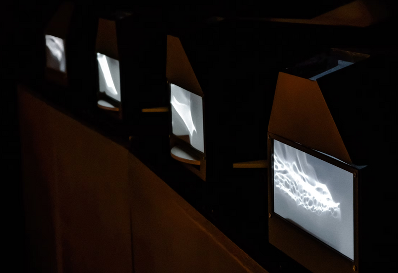 Light Boxes
