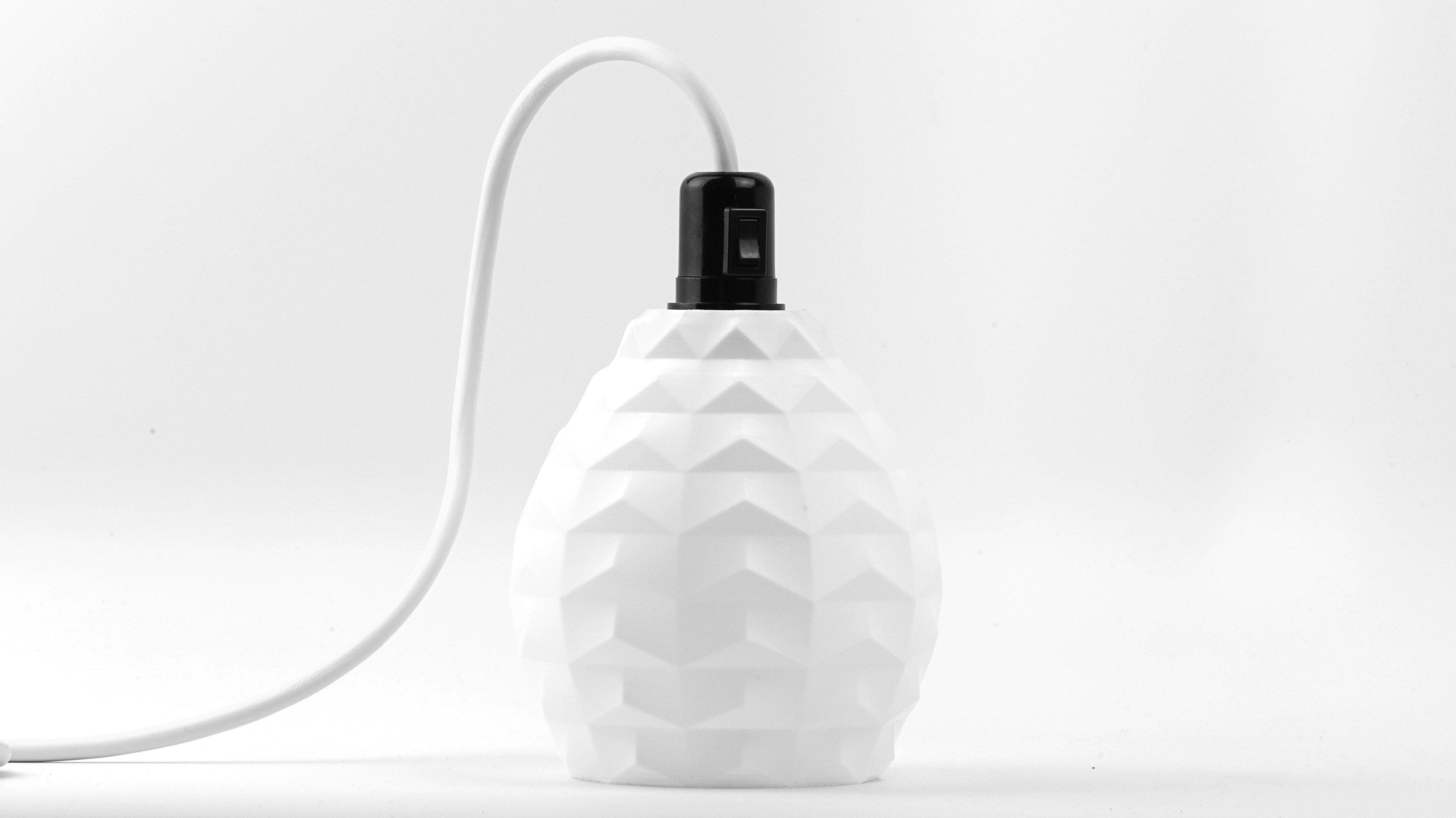 Dropped Pendant Light